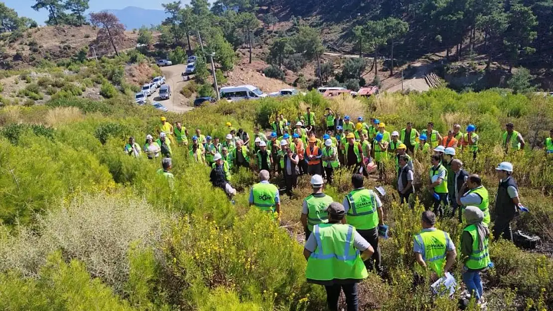 Ateş savaşçıları orman yetiştirme tatbikatlarını sürdürüyor