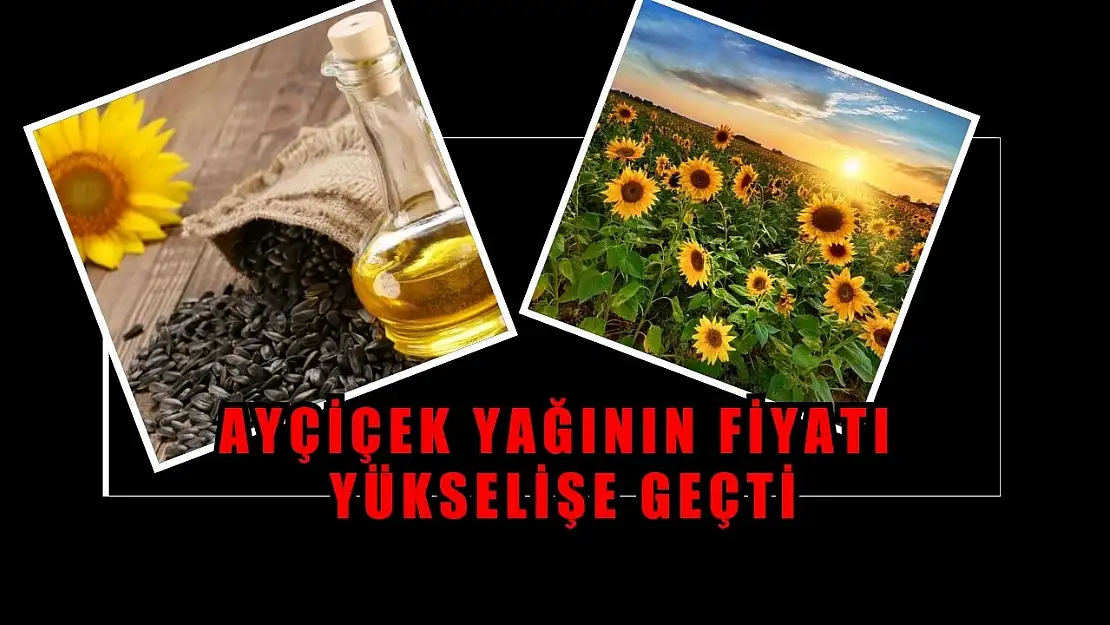 Ayçiçek Yağının Fiyatı Yükselişe Geçti