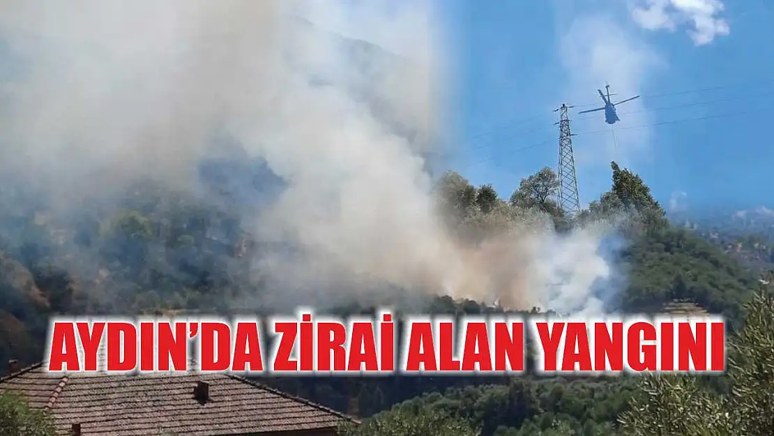 Aydın'da zirai alan yangını