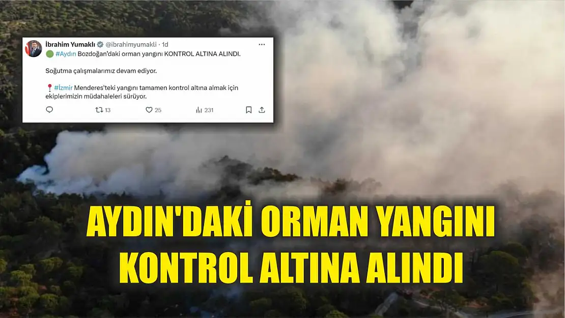 Aydın'daki orman yangını kontrol altına alındı