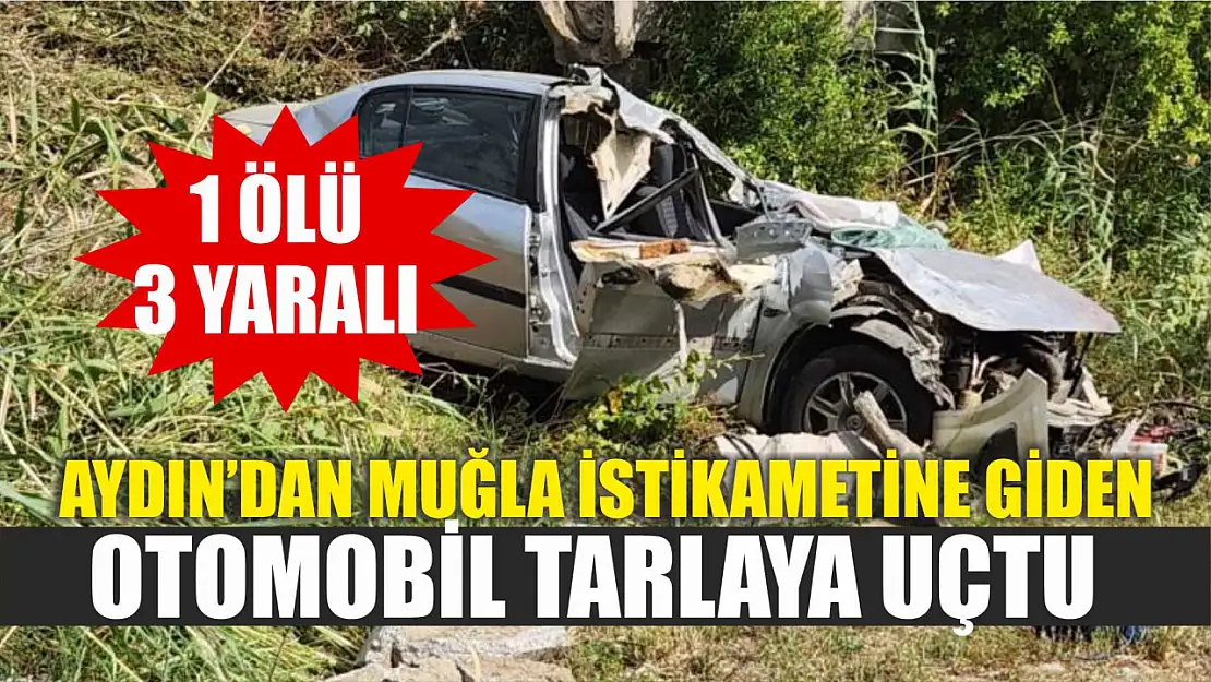 Aydın'dan Muğla istikametine giden otomobil tarlaya uçtu 1 ölü, 3 yaralı