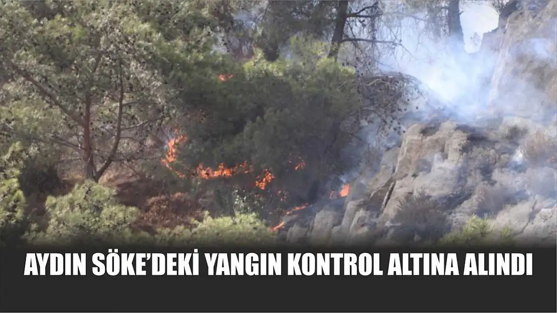 Aydın Söke'deki yangın kontrol altına alındı