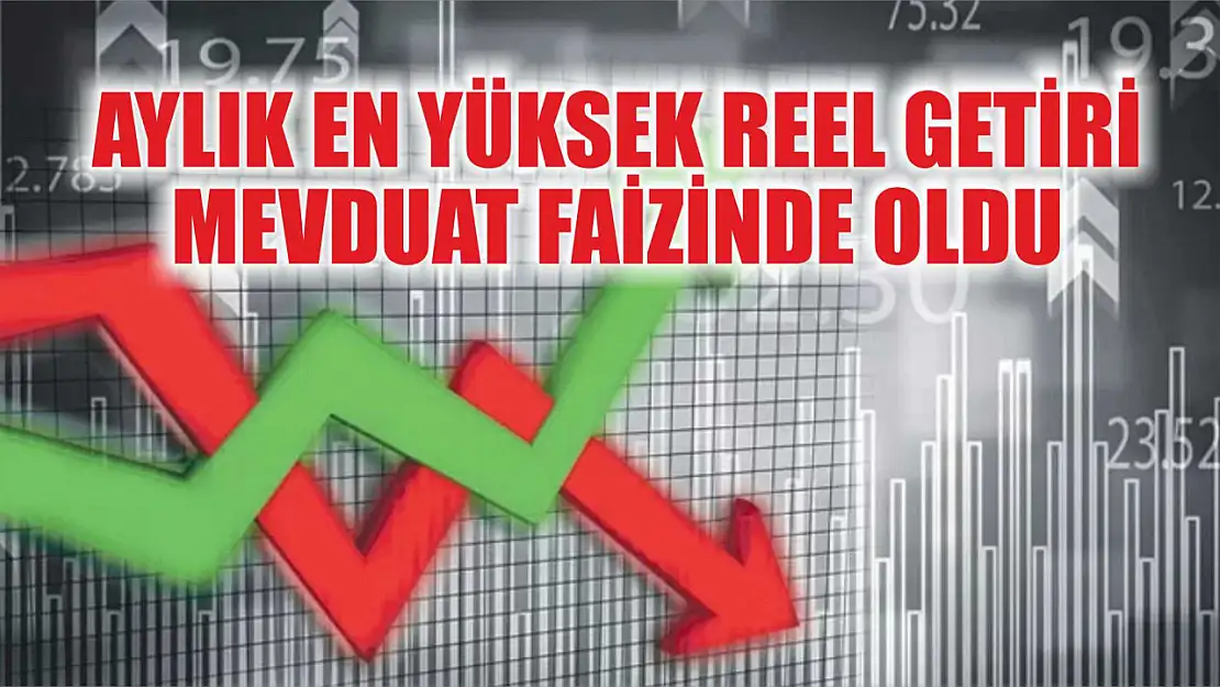 Aylık en yüksek reel getiri mevduat faizinde oldu