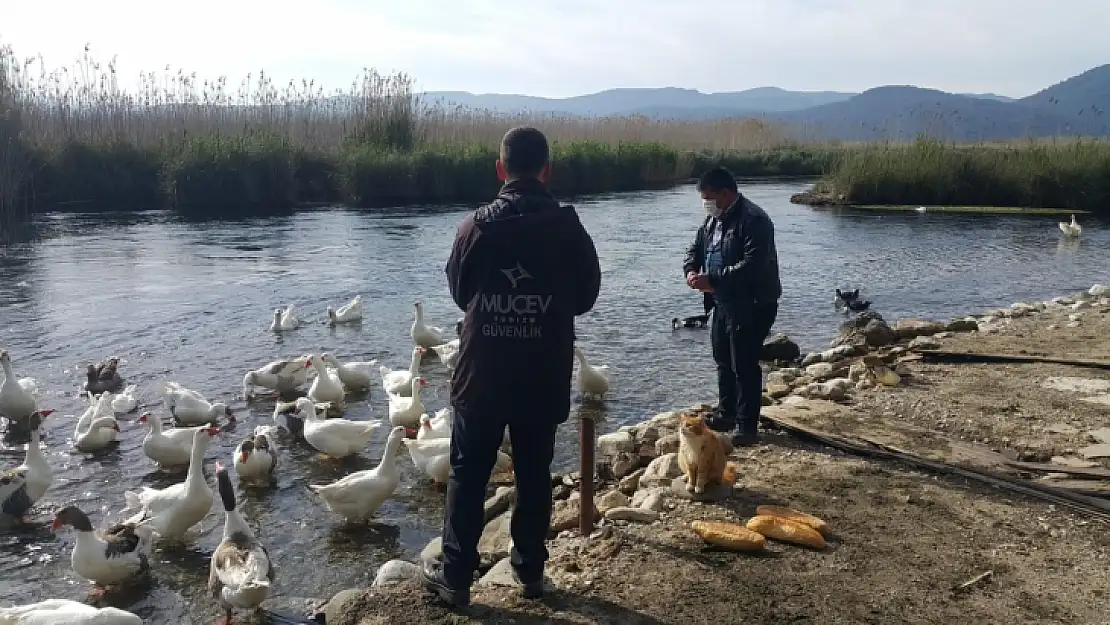 Azmak'ın Sembolleri MUÇEV tarafından Beslendi