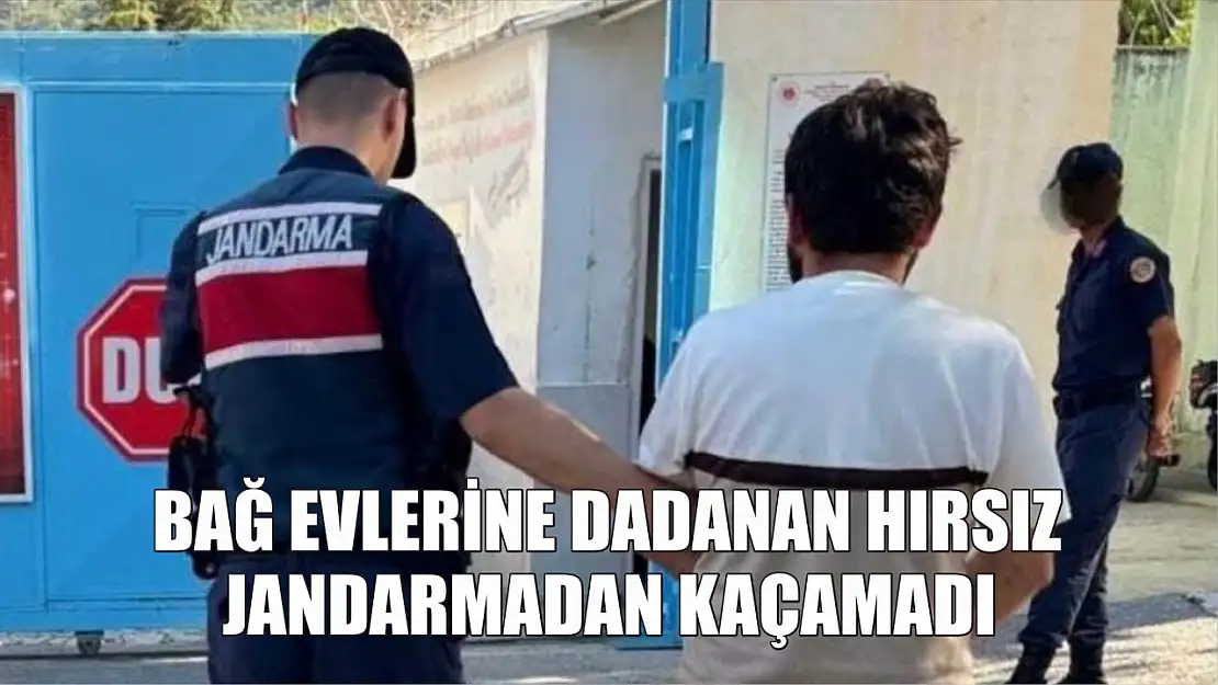 Bağ evlerine dadanan hırsız jandarmadan kaçamadı