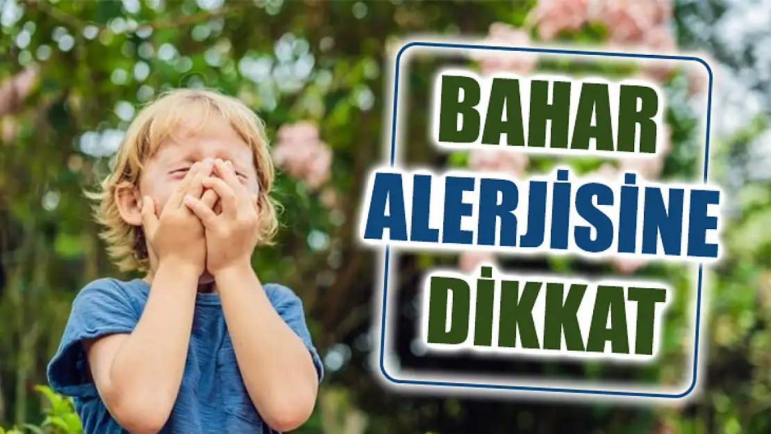 Bahar Alerjisine Dikkat