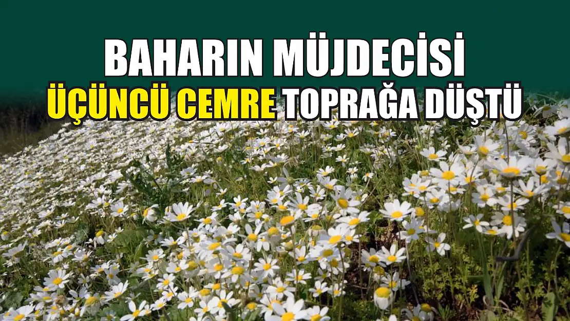 Baharın müjdecisi üçüncü Cemre toprağa düştü