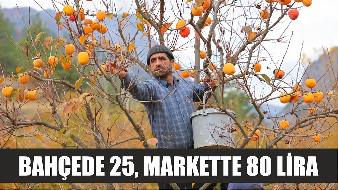 Bahçede 25, markette 80 lira