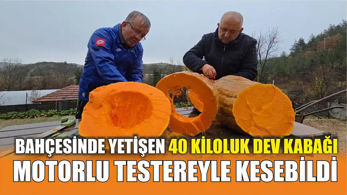 Bahçesinde yetişen 40 kiloluk dev kabağı motorlu testereyle kesebildi