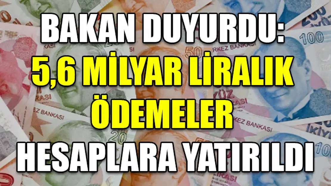 Bakan Duyurdu: 5,6 Milyar Liralık Ödemeler Hesaplara Yatırıldı