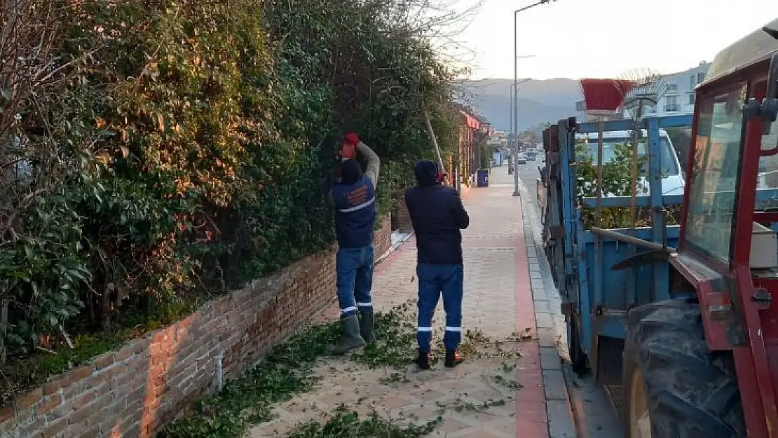 Bakım ve budama çalışması