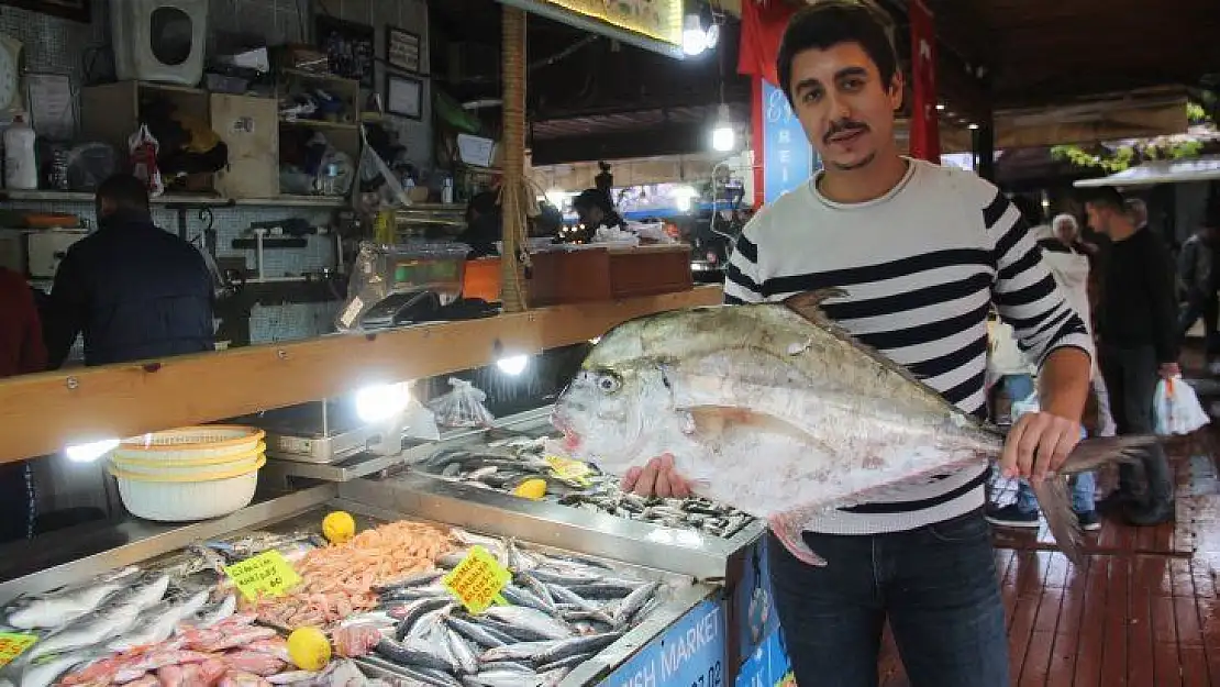 Balık bollaştı, fiyatları düştü