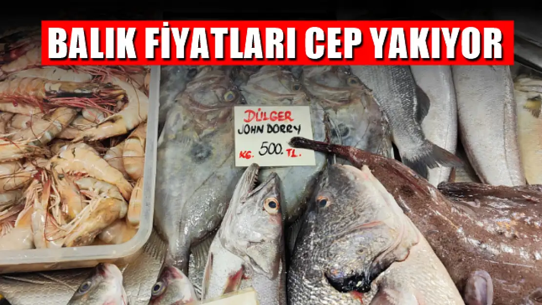 Balık Fiyatları Cep Yakıyor