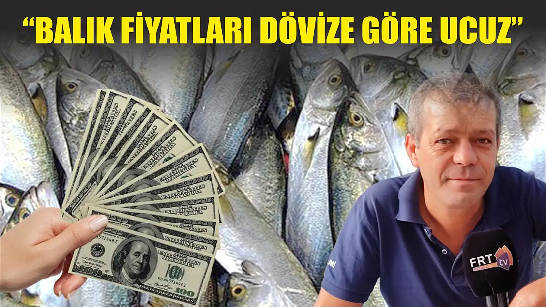 'Balık fiyatları dövize göre ucuz'