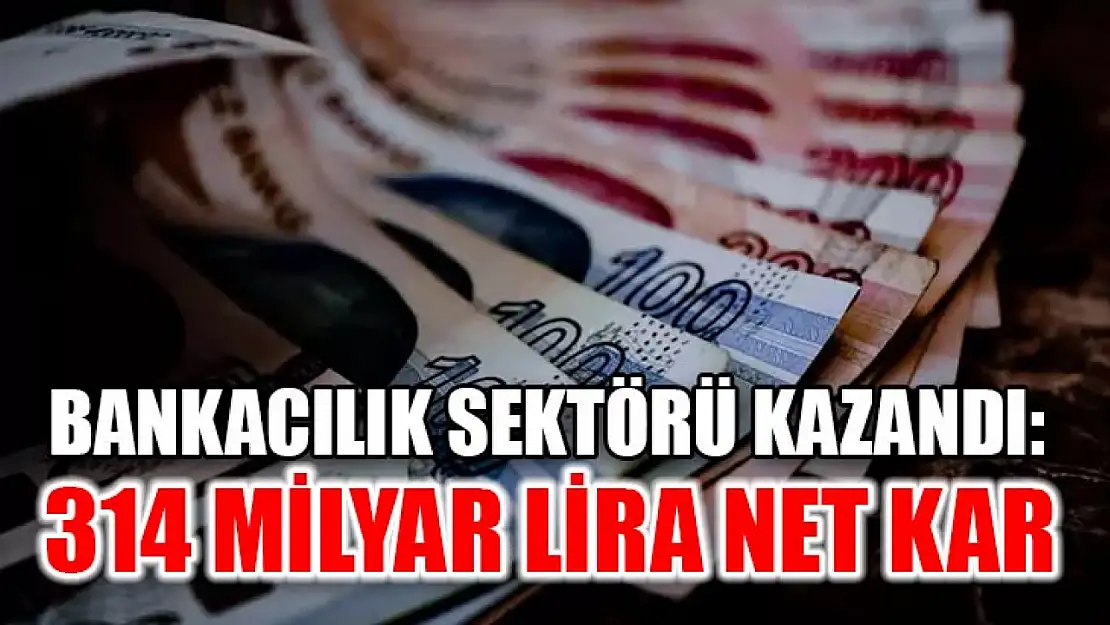 Bankacılık sektörü kazandı: 314 milyar lira net kar