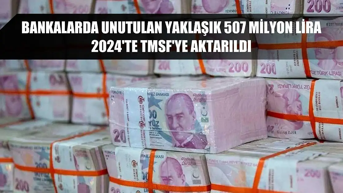 Bankalarda unutulan yaklaşık 507 milyon lira 2024'te TMSF'ye aktarıldı