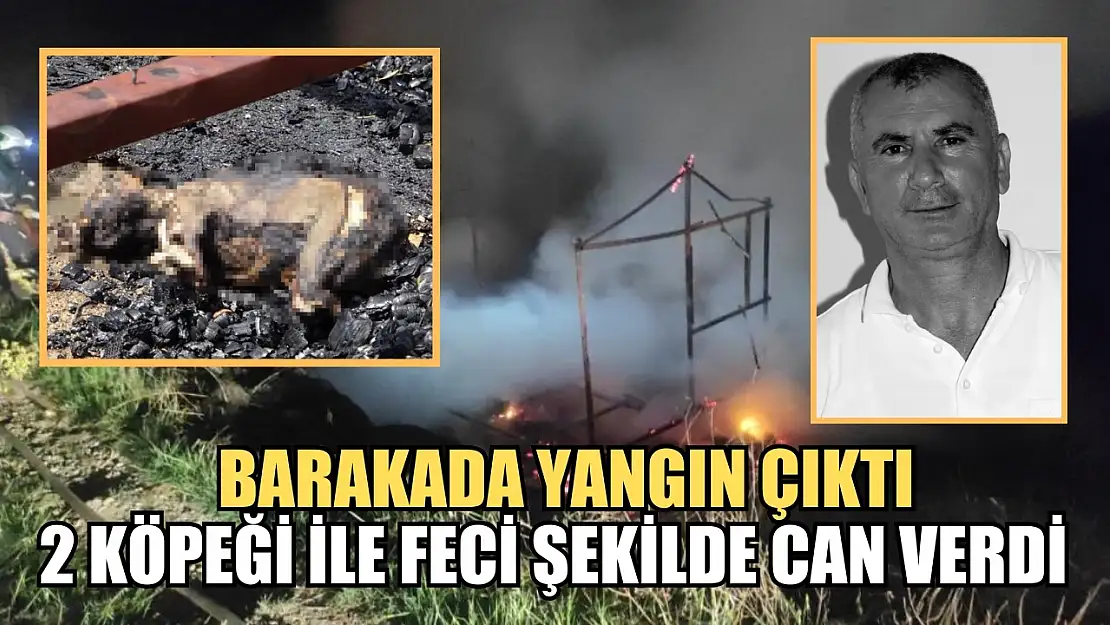 Barakada yangın çıktı 2 köpeği ile feci şekilde can verdi