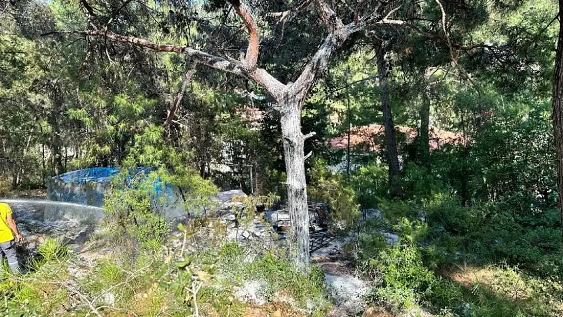 Barakadaki yangın ormana sıçramadan söndürüldü