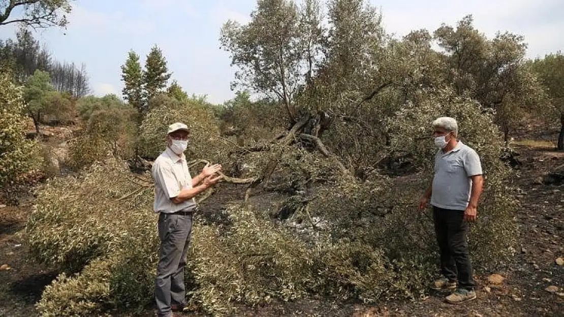 Başkan Atıcı, yanan alanları inceledi