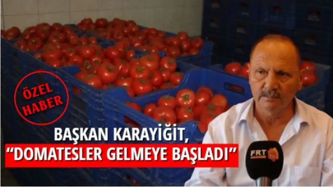 BAŞKAN KARAYİĞİT, 'DOMATESLER GELMEYE BAŞLADI'