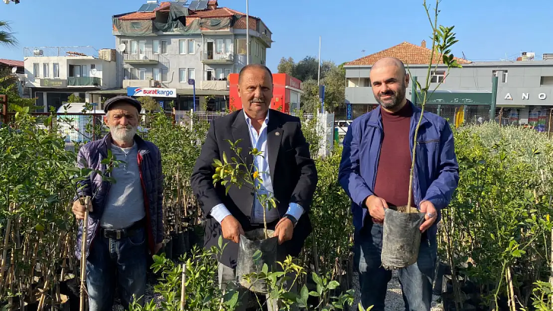 BAŞKAN KARAYİĞİT, 'ZEYTİN FİDANLARI GELDİ'