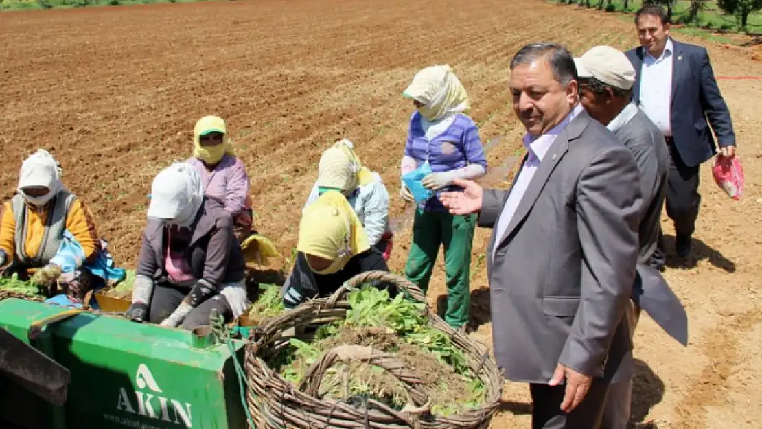 Baştuğ'dan 'Çiftçiler Günü' mesajı