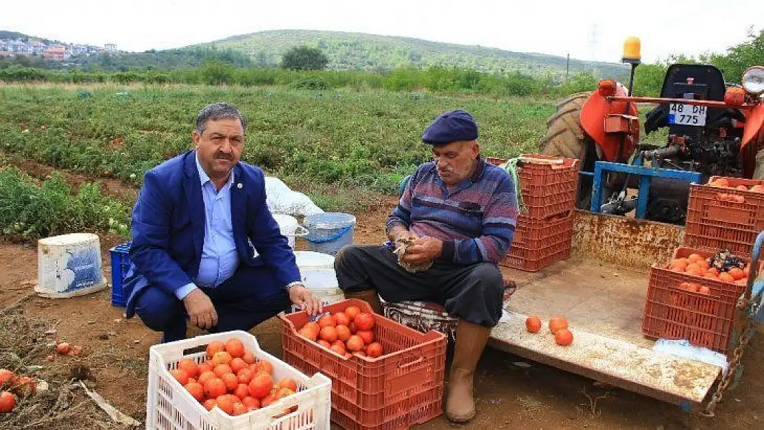 Baştuğ'dan sahte ve taklit zirai ilaç uyarısı