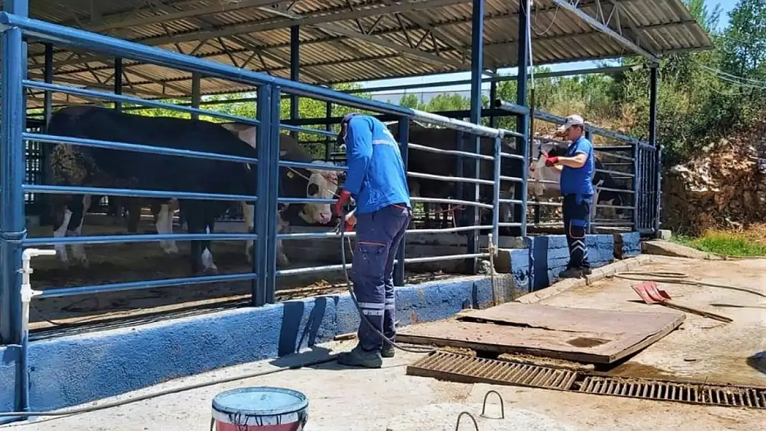 Bayır ve Düğerek Hayvan Pazarları Bayram Boyunca Açık