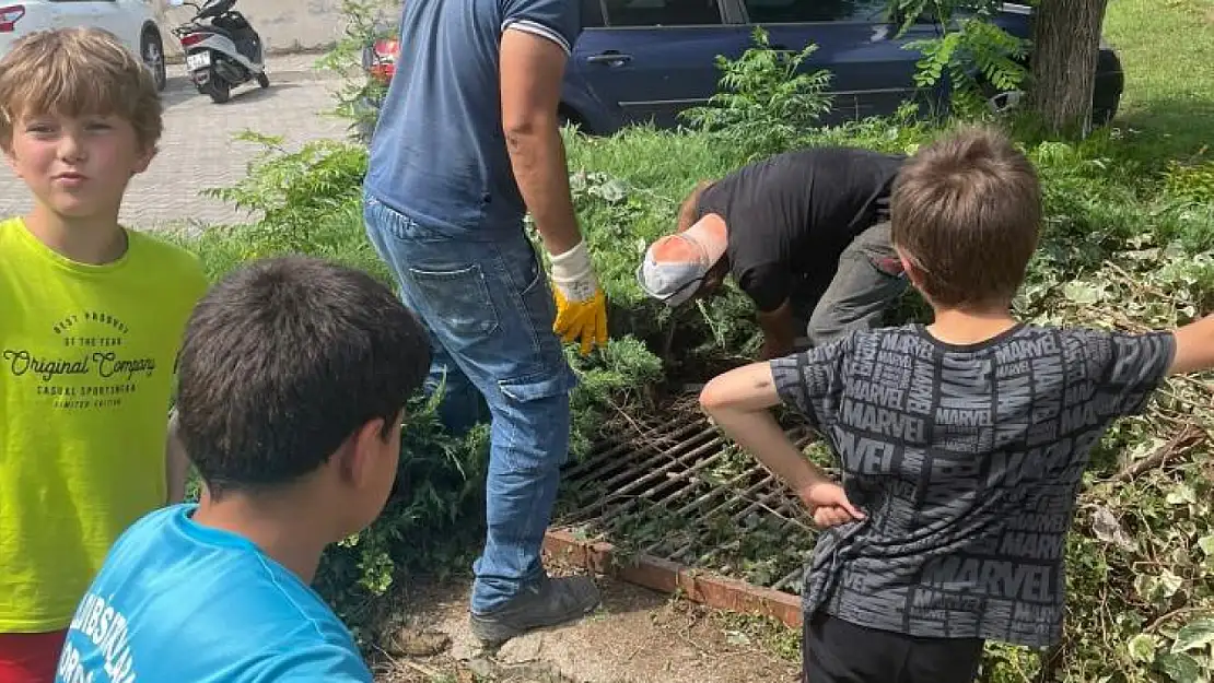 Belediye Ekipleri Yavru Kediyi Kurtardı