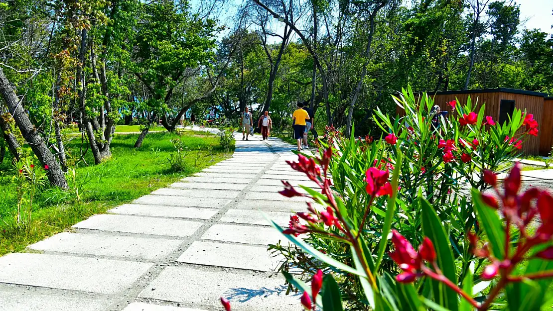 Belediye plajları uygun fiyatlarıyla ilgi görüyor