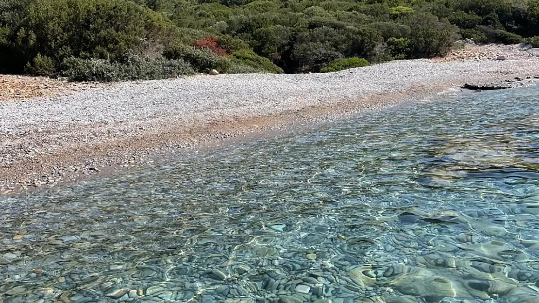 Belediyeden, Ada ve Koylarda Temizlik