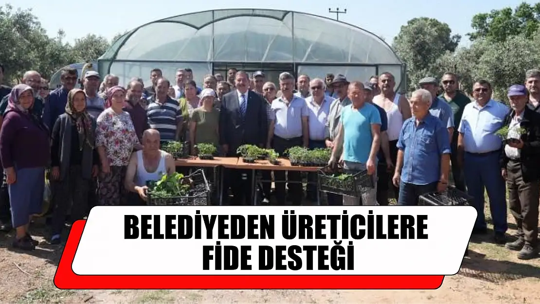 Belediyeden üreticilere fide desteği