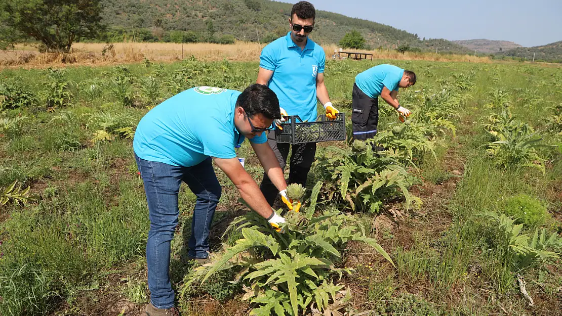 Belediyenin Tarımsal Kalkınma Çalışmaları Sürüyor