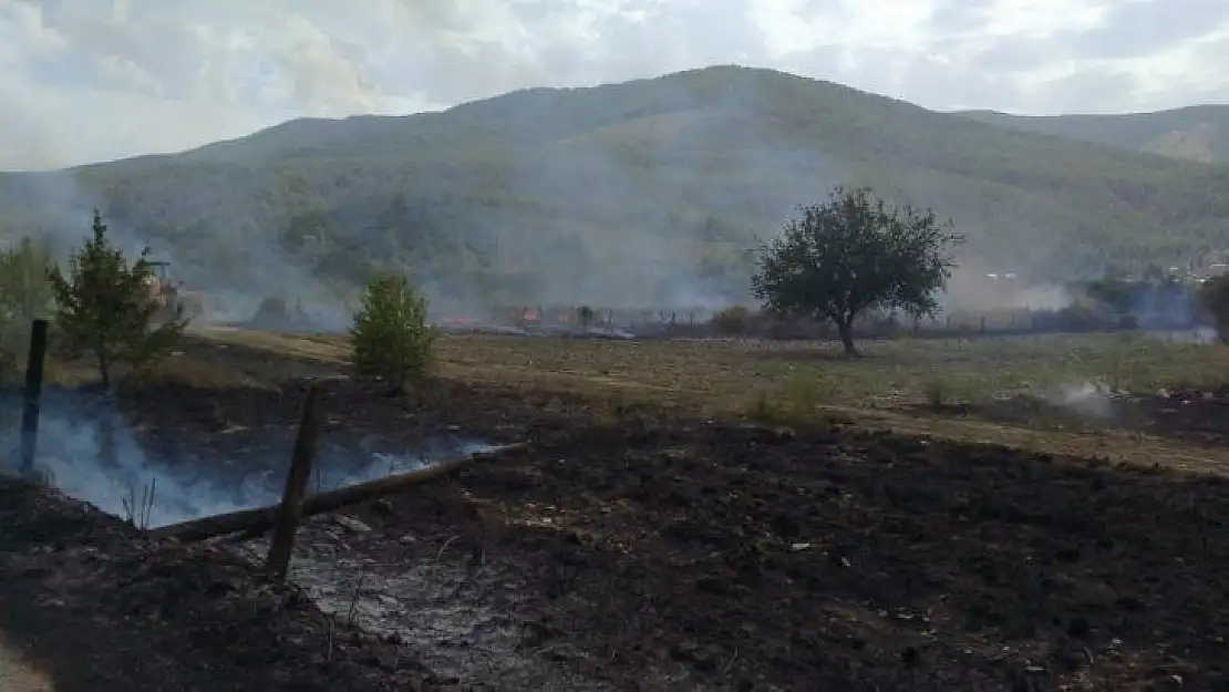 Belen Kahvesi mevkiindeki yangın kontrol altına alındı