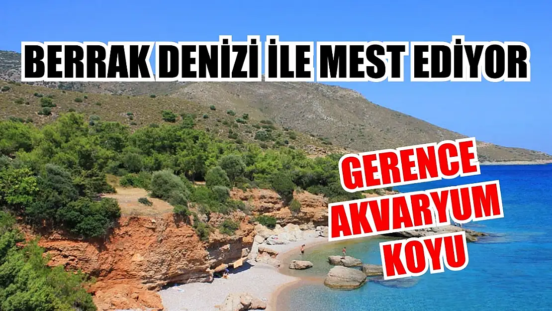 Berrak denizi ile mest ediyor: Gerence Akvaryum Koyu