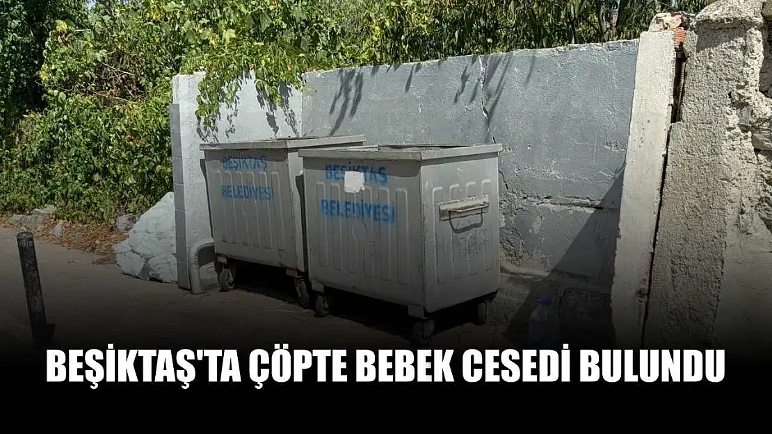 Beşiktaş'ta çöpte bebek cesedi bulundu