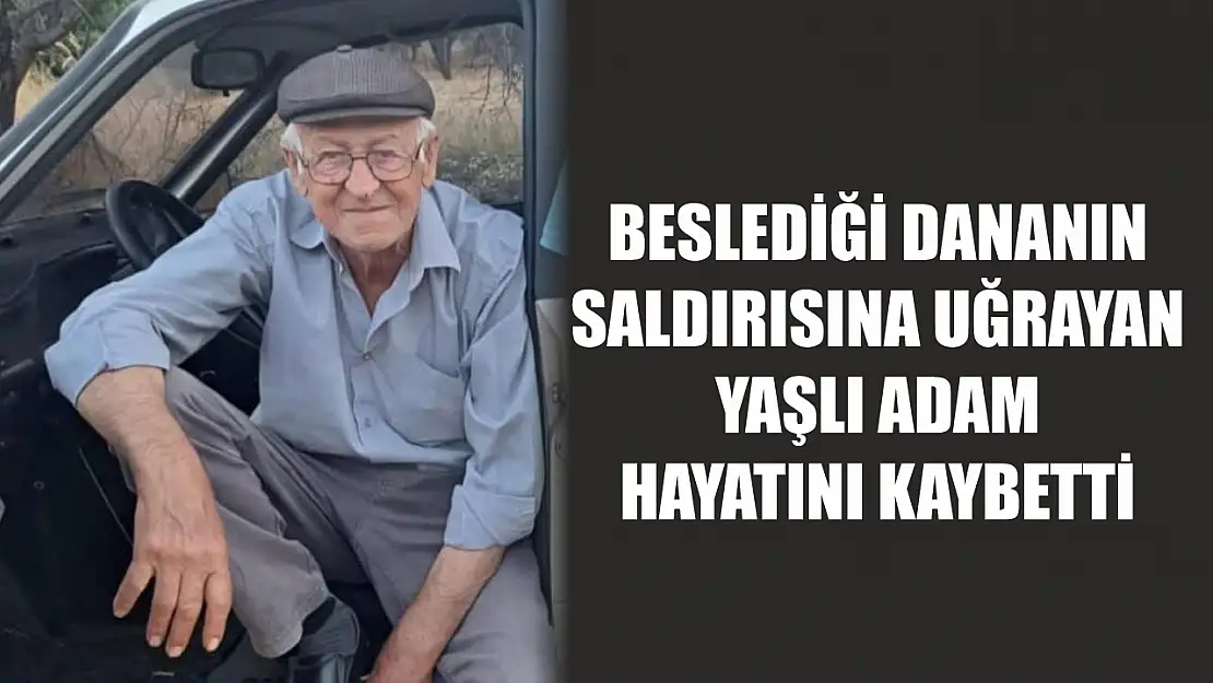 Beslediği dananın saldırısına uğrayan yaşlı adam hayatını kaybetti