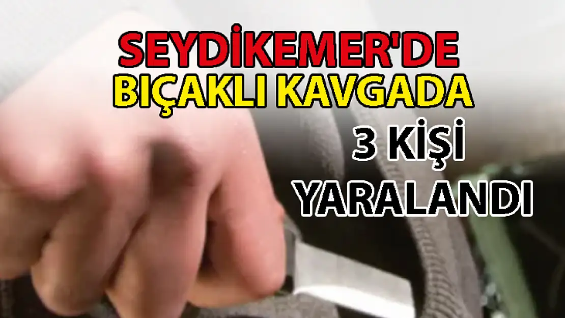 Bıçaklı kavgada, 3 yaralı