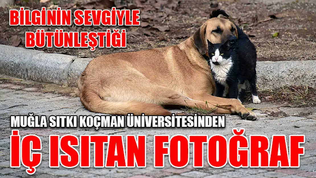 Bilginin sevgiyle bütünleştiği Muğla Sıtkı Koçman Üniversitesinden iç ısıtan fotoğraf