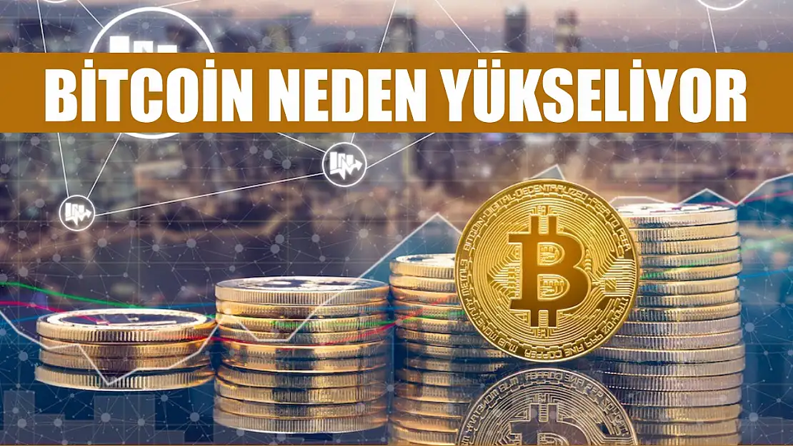 Bitcoin neden yükseliyor