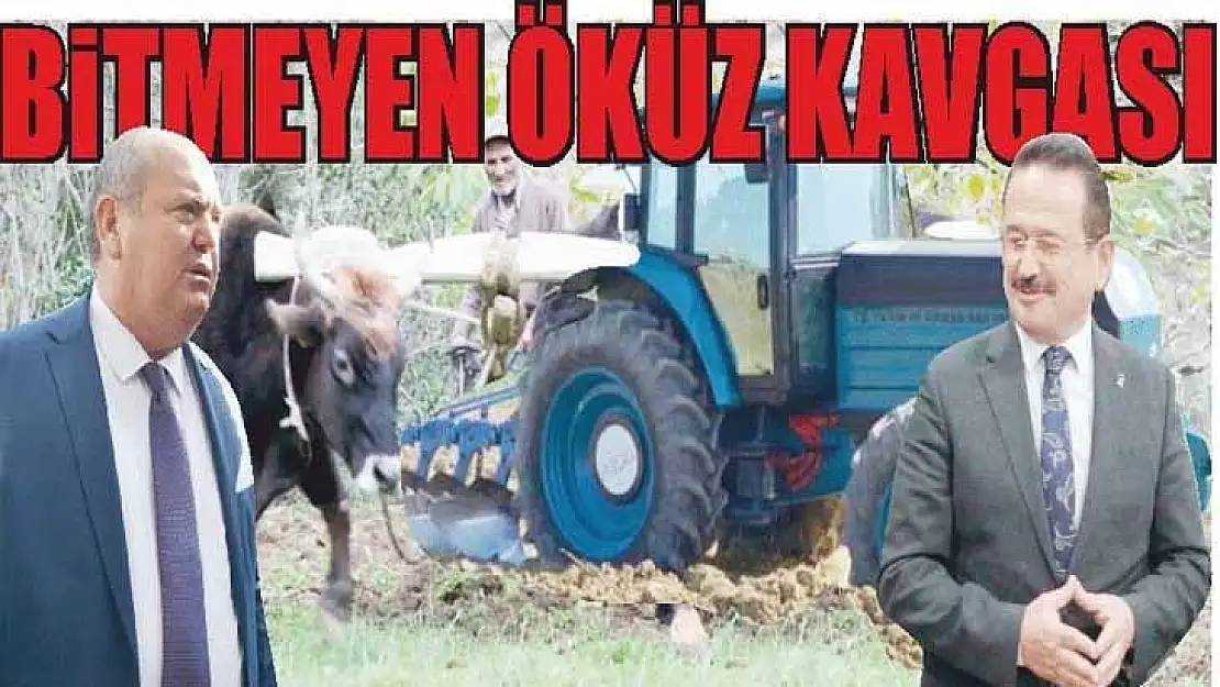 Bitmeyen öküz kavgası