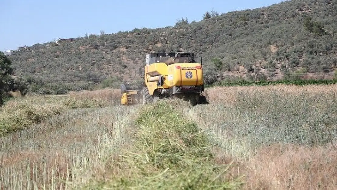 Bodrum Belediyesi, akaryakıtını kendi üretiyor