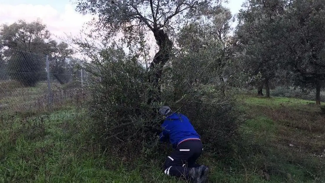 Bodrum Belediyesi kendi yağında kavruluyor