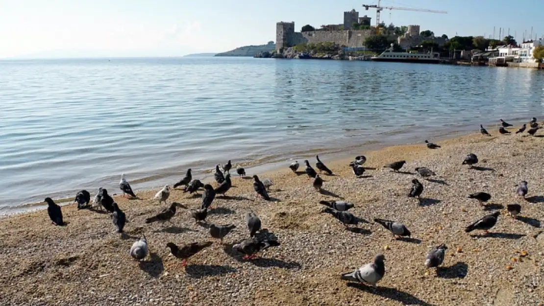 Bodrum Belediyesi 'Sanat Güneşi'ni unutmadı