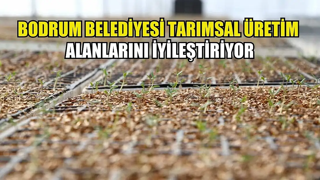 Bodrum Belediyesi tarımsal üretim alanlarını iyileştiriyor