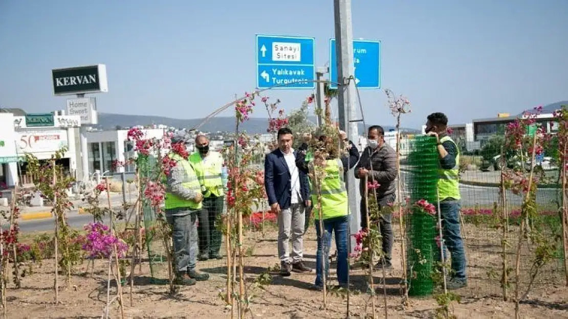 Bodrum çiçeklerle donatılıyor