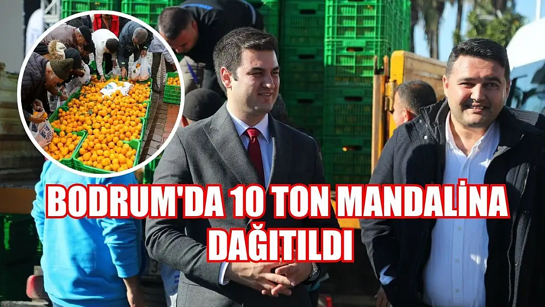 Bodrum'da 10 ton mandalina dağıtıldı