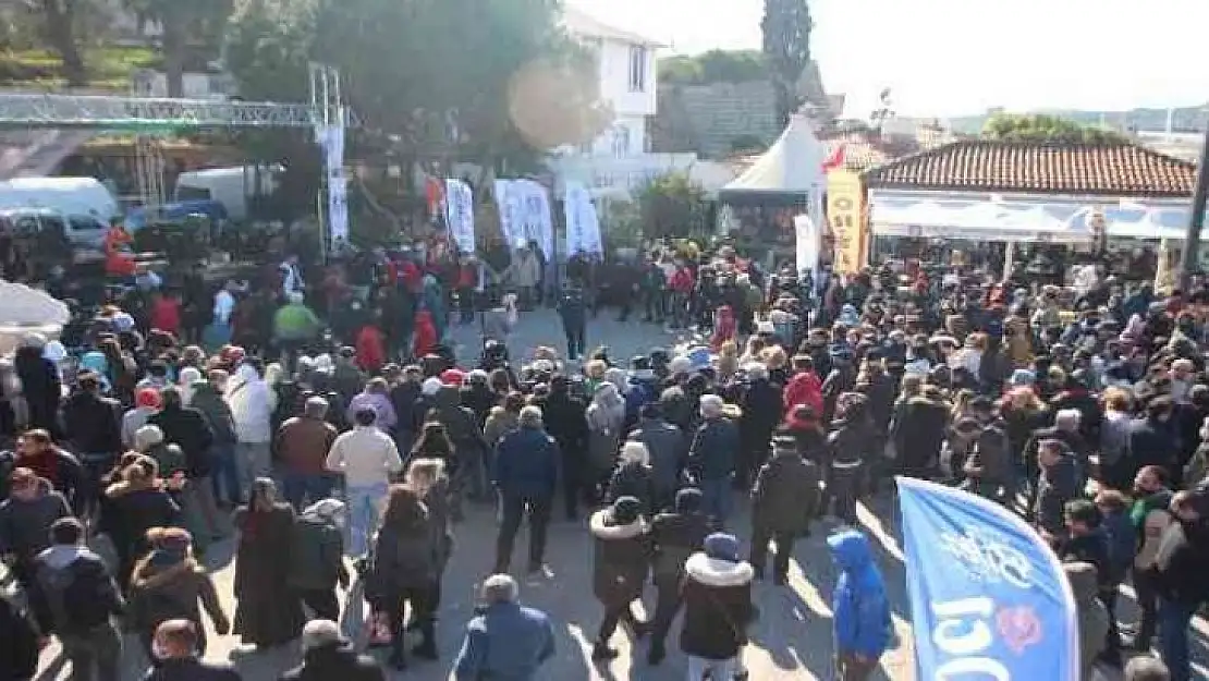 Bodrum'da 2,5 ton hamsi dağıtıldı, metrelerce kuyruk oluştu