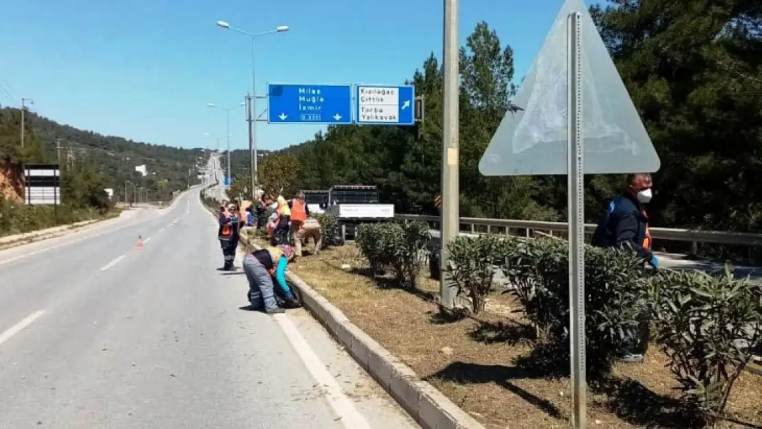 Bodrum'da 56. Cumhurbaşkanlığı Türkiye Bisiklet Turu heyecanı