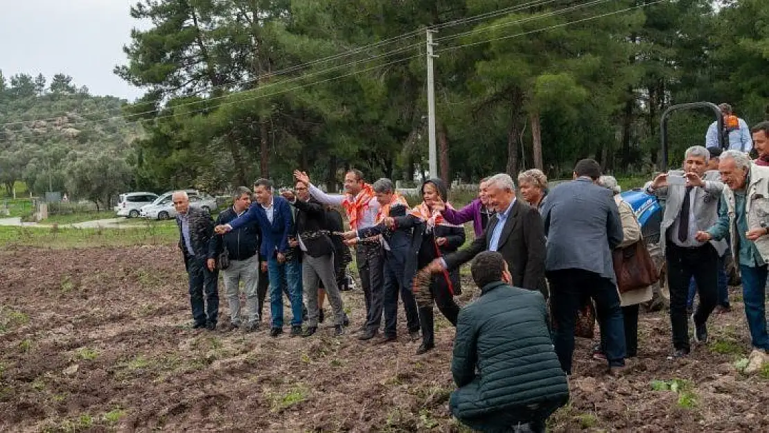 Bodrum'da ata tohumları geleceğe serpildi